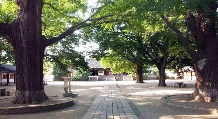 平壤、開(kāi)城、板門(mén)店雙臥三日游